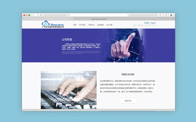 网站开发建设服务 从前端到定制的全方位指南